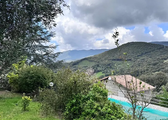 Nouveau ! Avec Piscine - Sainte-marie-siche * Santa-Maria-Siche
