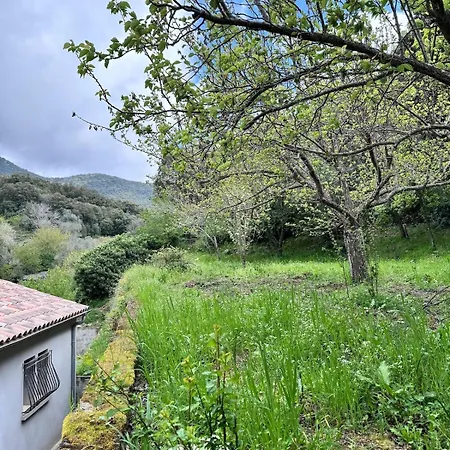 Nouveau ! Avec Piscine - Sainte-marie-siche Santa-Maria-Siche