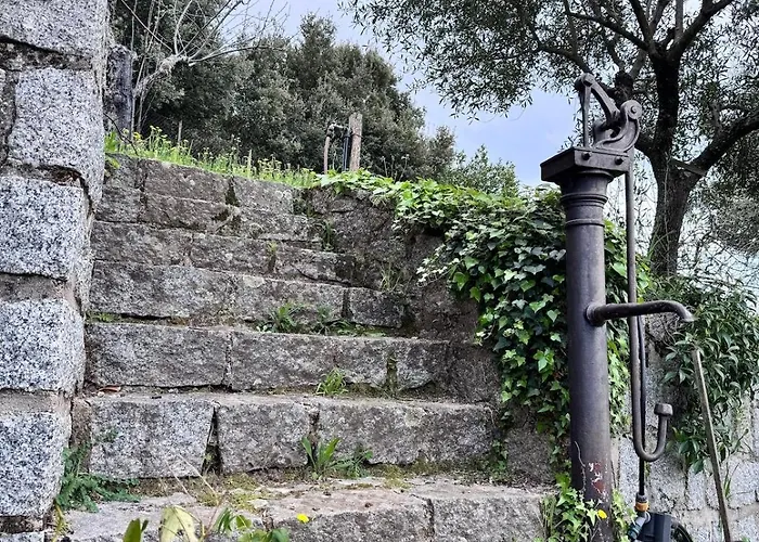 别墅 Nouveau ! Avec Piscine - Sainte-marie-siche *